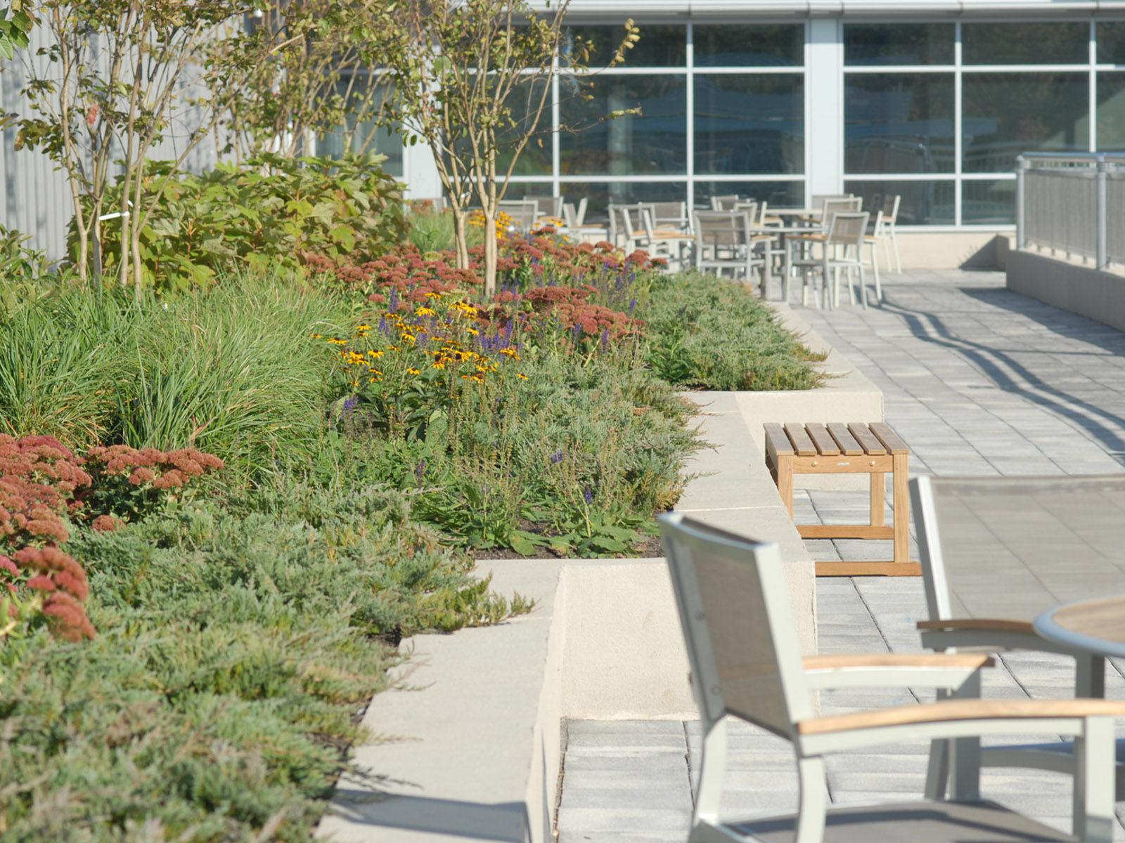 Green-Roof-Projects-Button